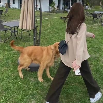 表兄本的营队放映活动